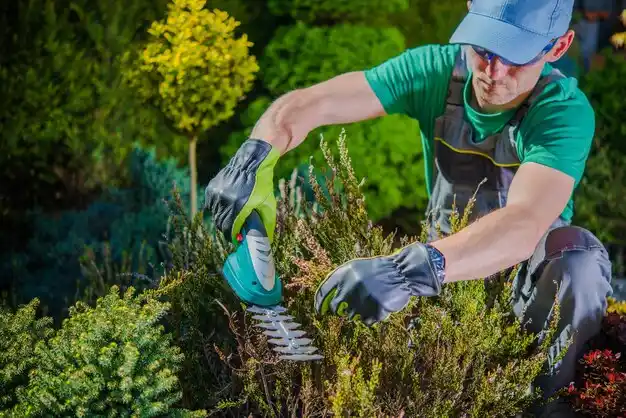 landscaping services Sebring